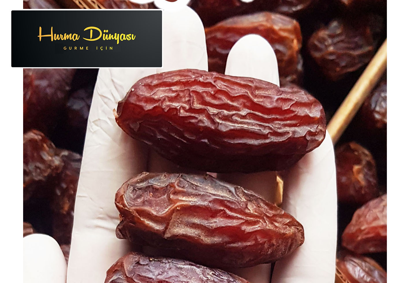 المجدول المصري - صورة 4