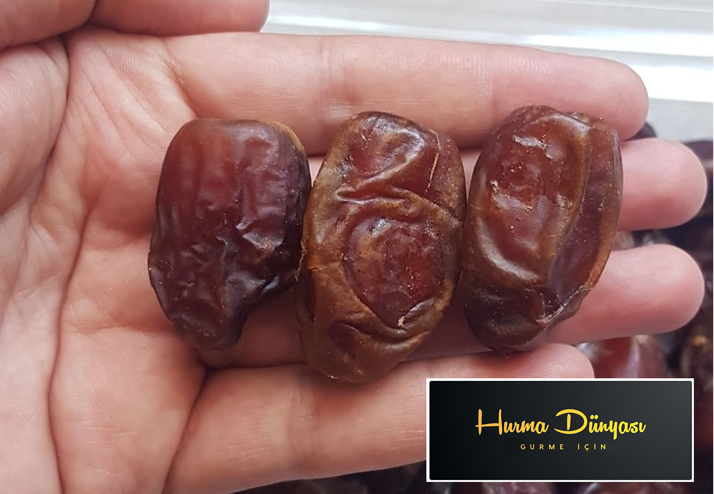 التمر السيوي